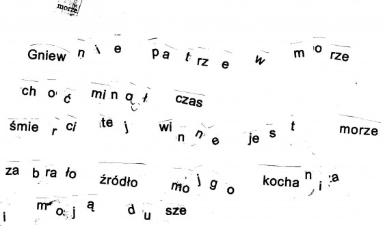 img003.jpg